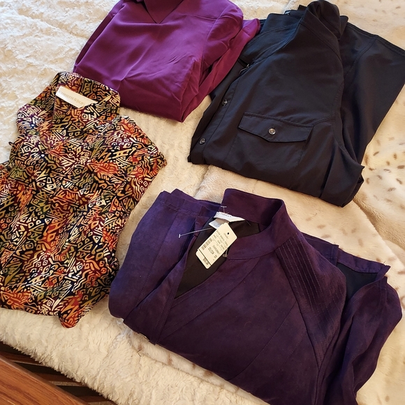 Christie & Jill, Eddie Bauer, CJ Banks, lot of 4 womens shirts size 20W or 2X - Picture 2 of 12